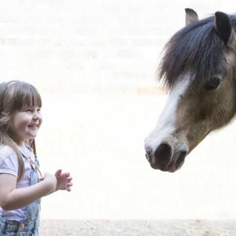 Girl loves horse photo