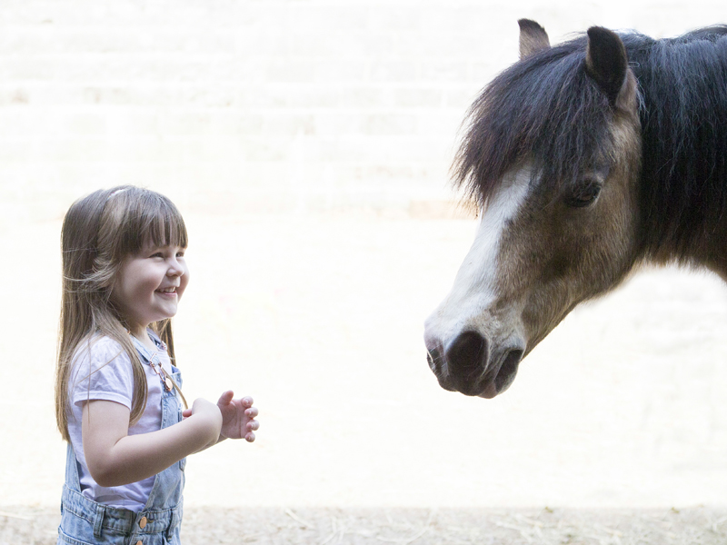 Girl loves horse photo