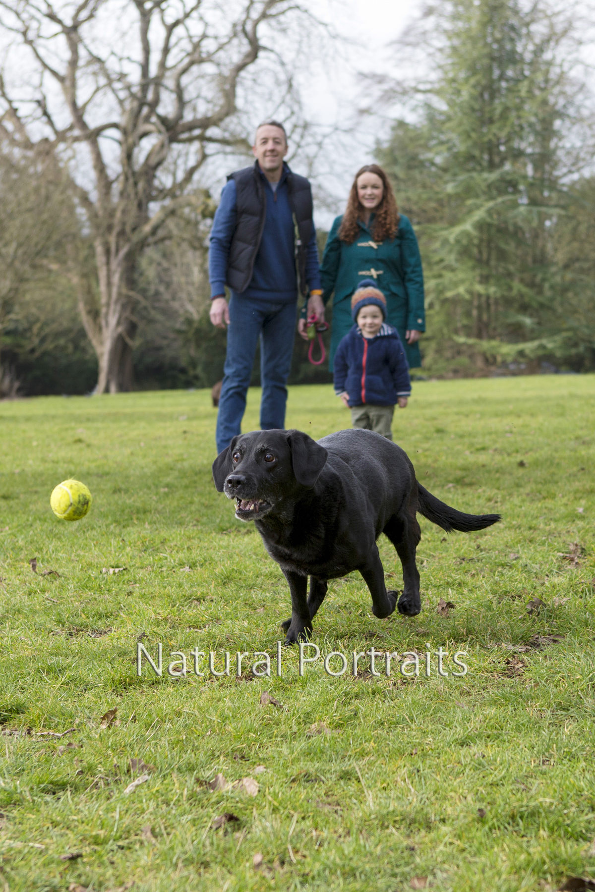 Family and dog in Victoria Park, Bath