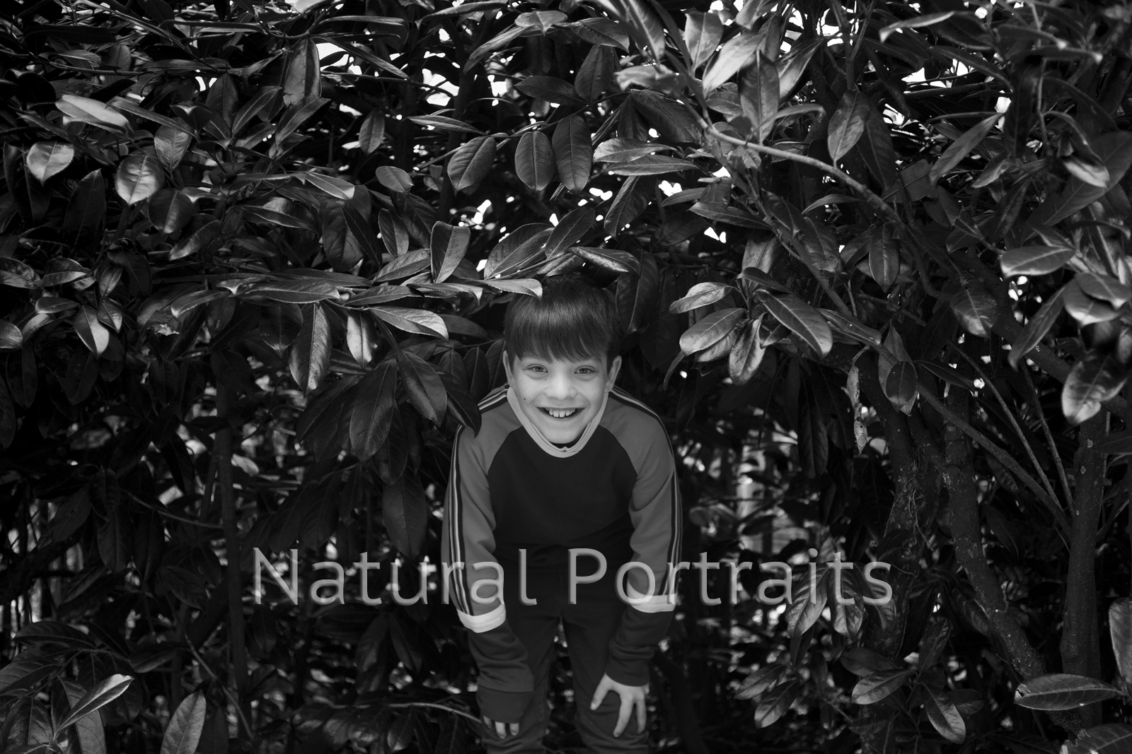 Playing hide and seek at Stourhead