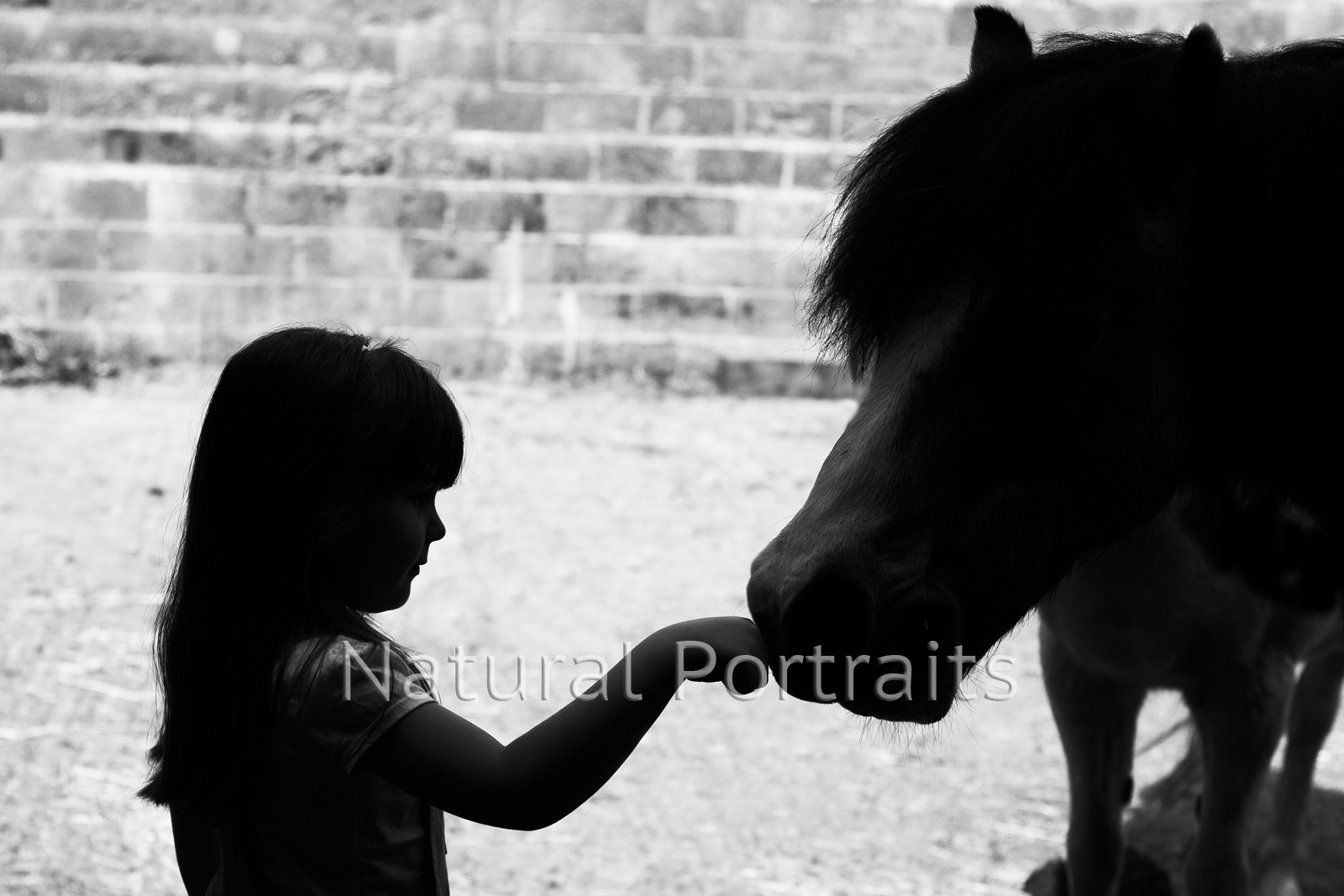 photo of girl and horse in Somerset