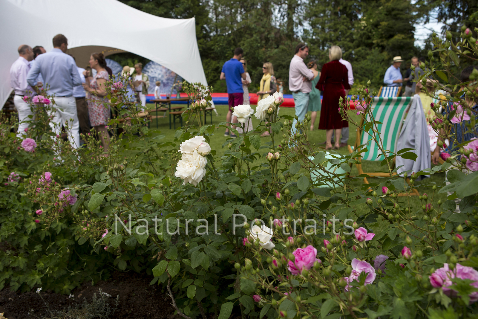 Garden party photography in Frome