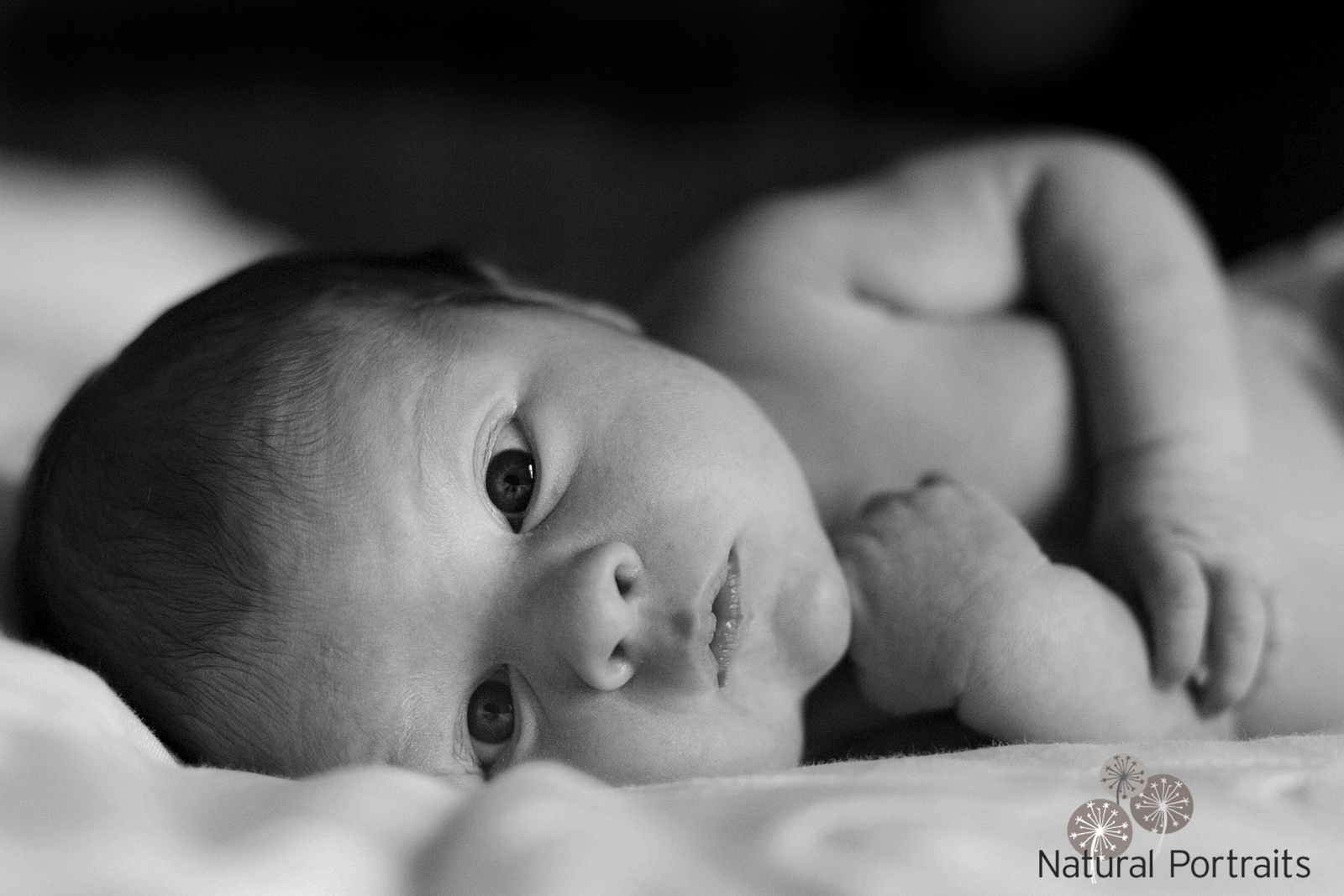 newborn at home photography
